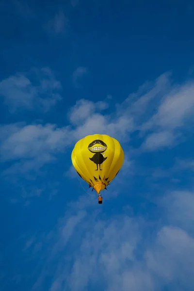 Großer schwarzer Vogelballon — Stockfoto