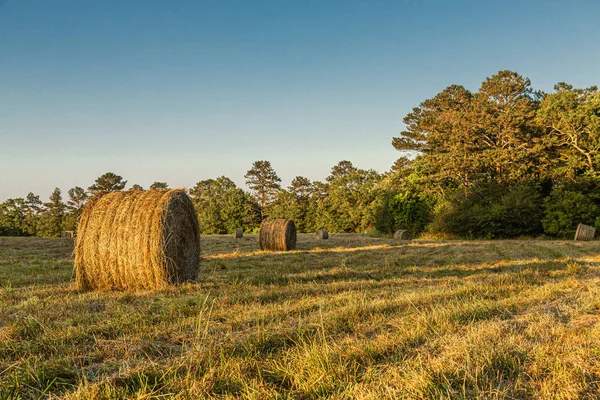 Rolls of Hay no final da tarde Sun — Fotografia de Stock