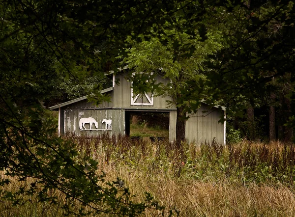 Pusta stara stodoła — Zdjęcie stockowe