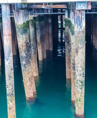 Eski İskele Kazıklar Dikey