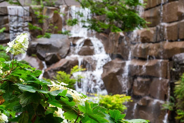 Waterval langs bloemen — Stockfoto