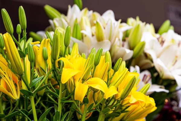 Yellow and White Lilies — Stock Photo, Image