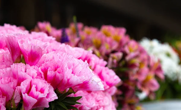 Pazarda Pembe Karanfiller — Stok fotoğraf