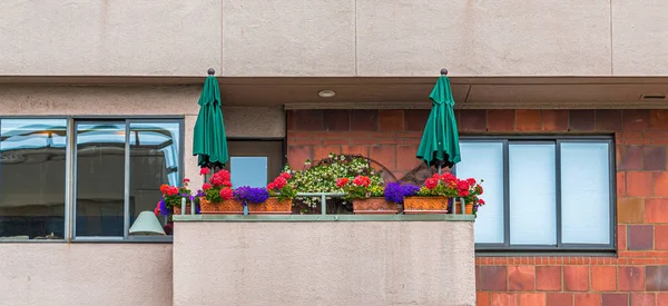 Umbrellas and Flower Boxes — Stock Photo, Image