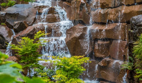 Maple japonês por cachoeira — Fotografia de Stock