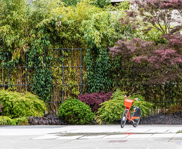 Orange Bike by Trees — Stock Photo, Image