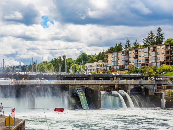 Lake Union overflow på Ballard Locks — Stockfoto