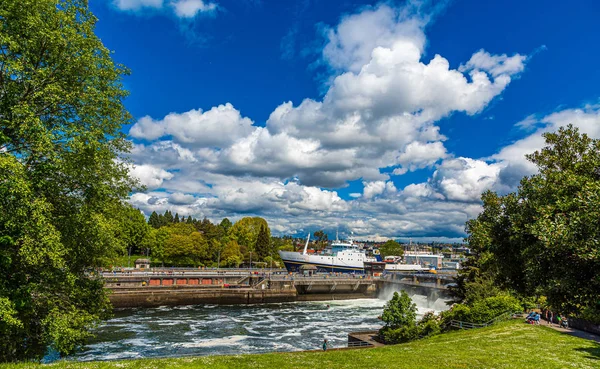 Alaska dorata attraverso Ballard Locks — Foto Stock