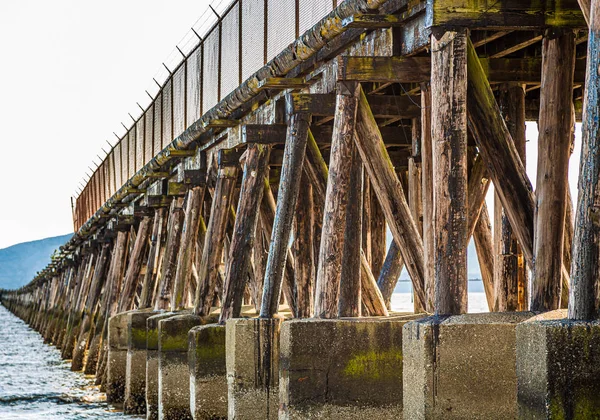 Steunt op oude verlaten Pier — Stockfoto