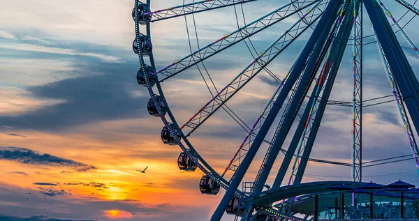 Mouette par roue au coucher du soleil — Photo