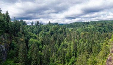 Evergreen Vista Washington'da