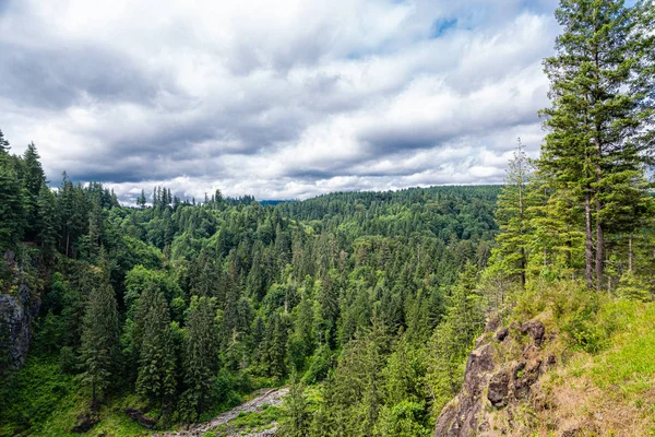 Immergrüne aussicht in washington — Stockfoto