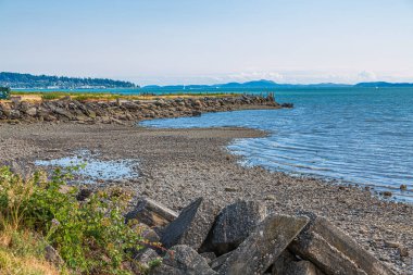 Bellingham Körfezi'ndeki Rocky Shore