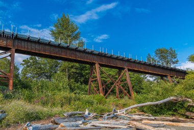 Paslı Trestle Köprüsü