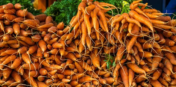 Свежая морковь на рынке — стоковое фото