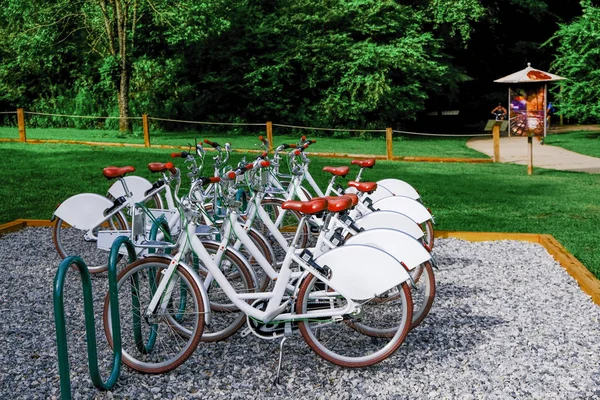 Alquiler de bicicletas blancas en Gravel Lot —  Fotos de Stock