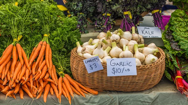 Carrots and Garlic — Stock Photo, Image