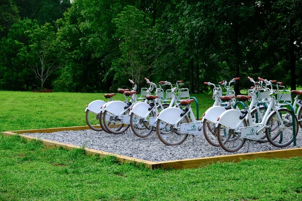 Leihfahrräder im grünen Park — Stockfoto