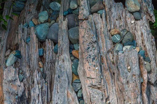 Pedras e madeira velha apoiando Breakwater — Fotografia de Stock