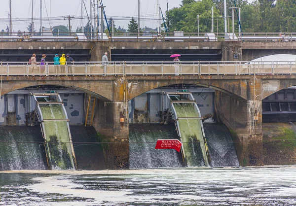 Dam w: Ballard Locks — Zdjęcie stockowe