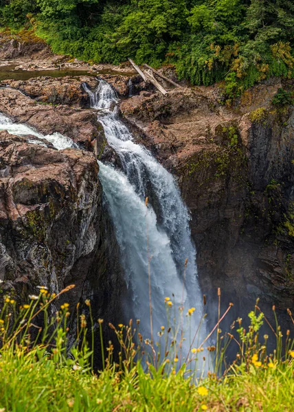 Snoqualmie Falls Past Daisies — Stock fotografie