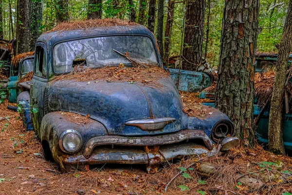 Blue Chevy Truck — стоковое фото