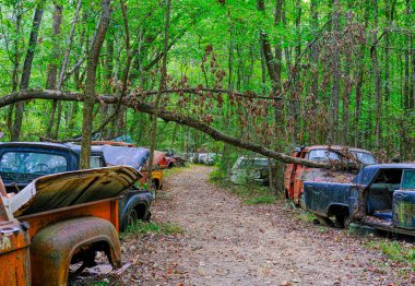 Yıkıntılar Arasında Yol