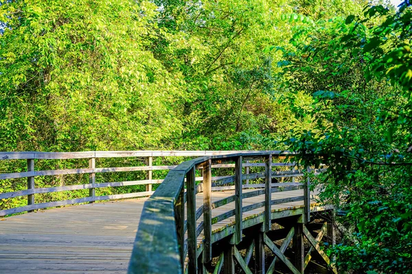 Puente de madera curvado a través del bosque — Foto de Stock