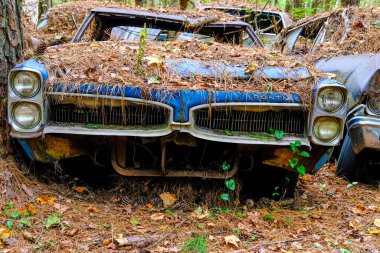 Mavi Pontiac Samanla kaplı
