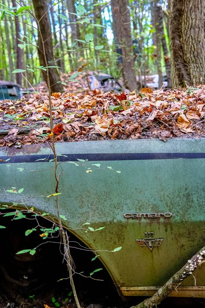 Fender de Camaro 327 — Fotografia de Stock