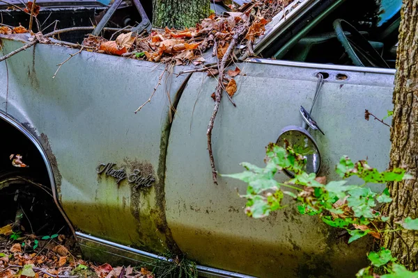 Vanhat yhdeksänkymmentä kahdeksan murskattuna metsässä — kuvapankkivalokuva