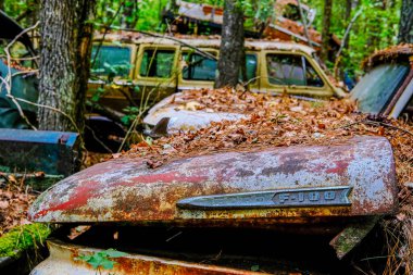 Rusty Ford F-100 'ün Kaputu