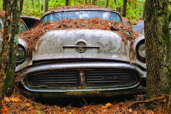 Antiguo Oldsmobile en el bosque — Foto de Stock