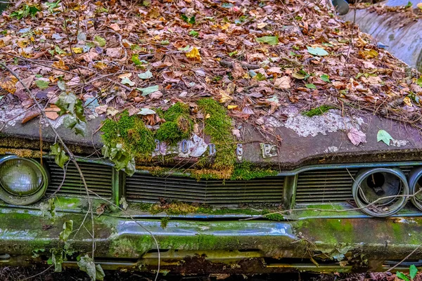 Vieille Dodge sous les feuilles et la mousse — Photo