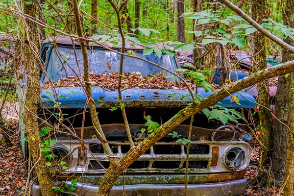 Vieux camion Dodge enterré dans les bois — Photo