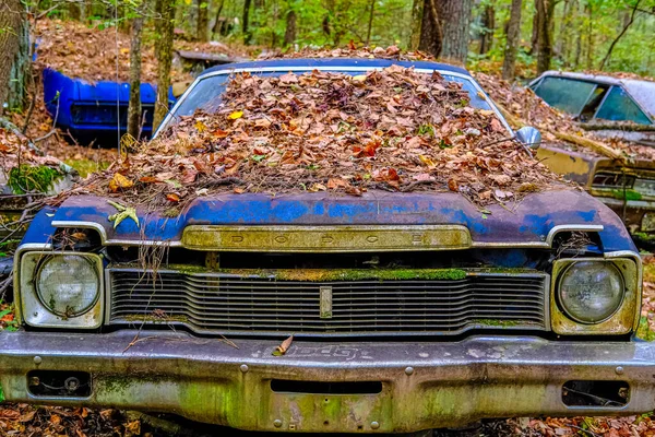 Vieux Dodge moisi recouvert de feuilles — Photo