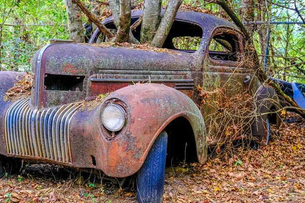 Roadster Fender Covered in Mold and Rust — Stock Photo, Image