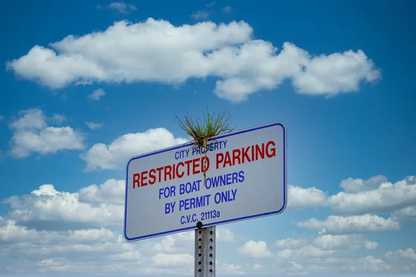 Seedling on Restricted Sign — Stock Photo, Image
