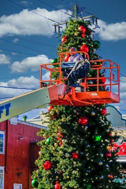 Monterey 'de Noel Ağacı Dekorasyonu