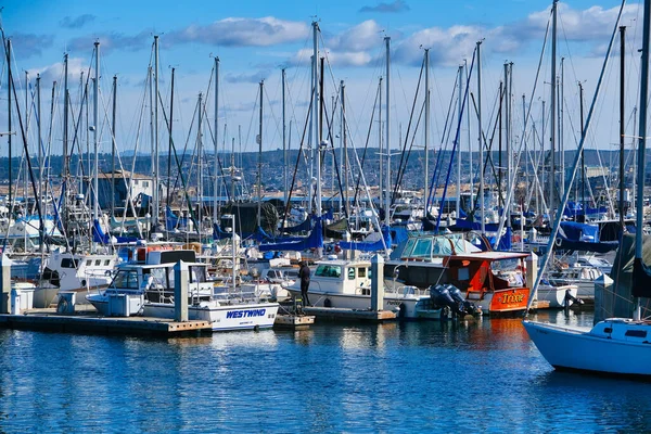 Muitos mastros em Monterey — Fotografia de Stock