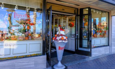 Avalon Şekerlemelerinin Lloydları