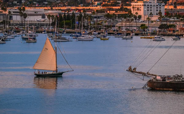 Sailing into Harbor at Sunset — Stock Photo, Image