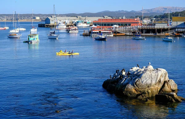 Gelbe Kajaks in der Bucht von Monterey — Stockfoto