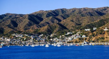 Catalina 'nın Hillside' ındaki Resorts