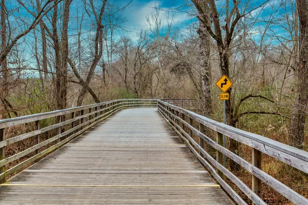 Elevated Wood Walkway in Winter Forest — Stock Photo, Image