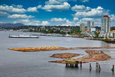 Logs in Harbor of Nanaimo, British Columbia being readied to ship down river clipart