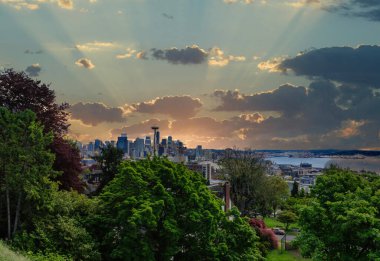 Seattle 'ın Ağaçların Arkasından Görünümü