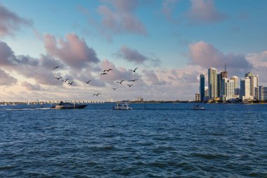 Biscayne Körfezindeki Lüks Yatlar