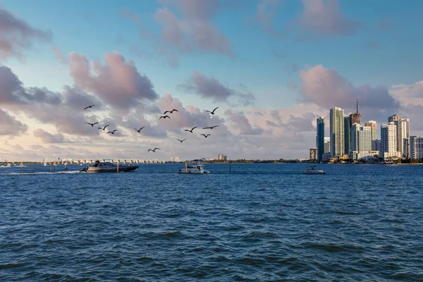 Luxus jachtok itt: Biscayne Bay — Stock Fotó