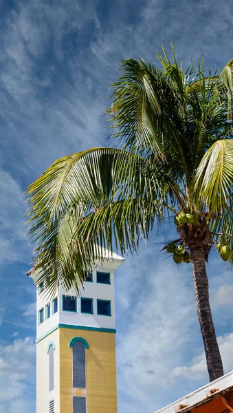 Tornet bakom palmen — Stockfoto